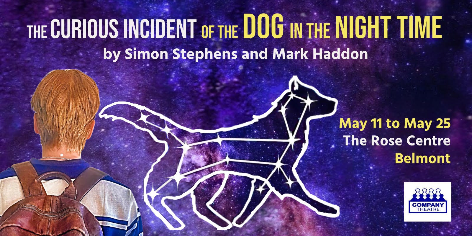 Curious Incident of the Dog in the Night-Time by Mark Haddon