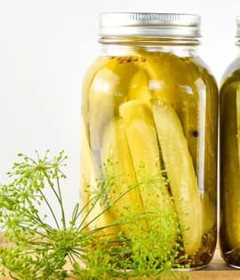 Fermentation & Pickling Workshop