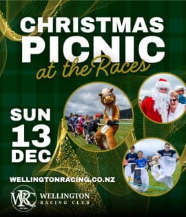 Christmas Picnic At The Races