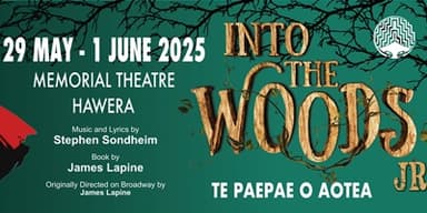 Into The Woods Jr