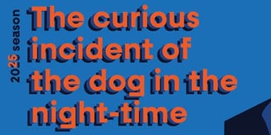 The Curious Incident of the Dog in the Night-Time