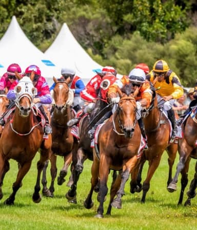 The Kumara Races Membership