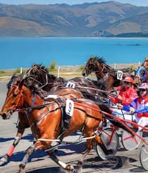 Kaikoura Trotting Club Weekend 2025