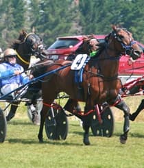 The Trots at Mot  - November 2025
