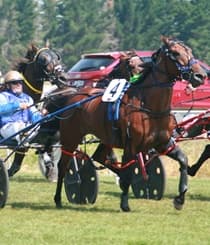 The Trots at Mot - February 2026