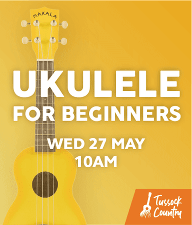 Ukulele for Beginners