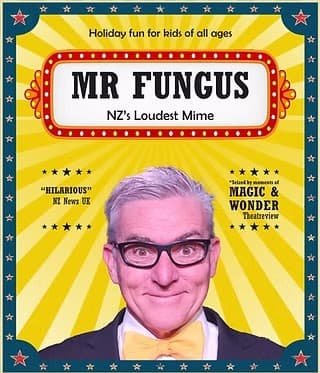 Mr Fungus