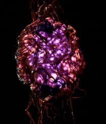 ANITO co-created by Justin Talplacido Shoulder