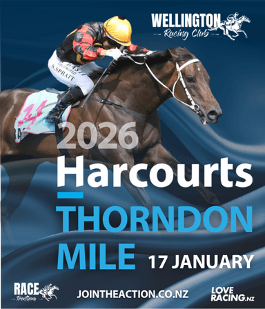 Harcourts Thorndon Mile Family Day