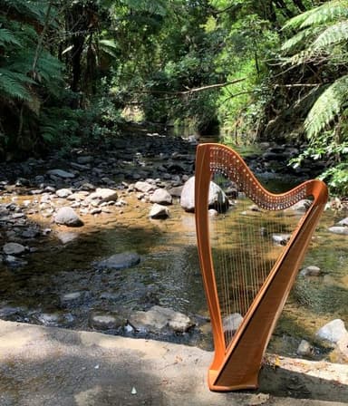 Harp Fest NZ 2026 - Weekend Day Pass