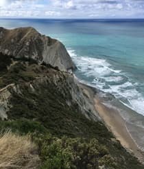 Cape Sanctuary Red Tulip Walk for Parkinson's 2026