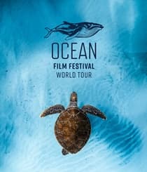Ocean Film Festival