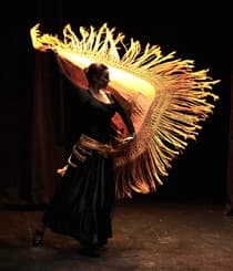 Flamencodanza