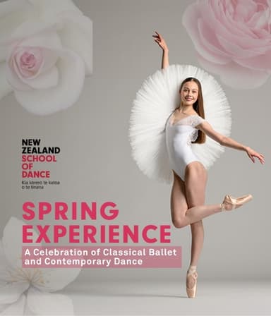 Spring Experience