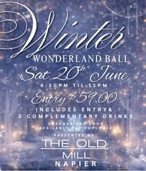 Winter Wonderland Ball