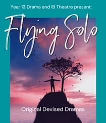 Flying Solo