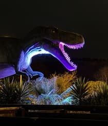 Dinosaurs After Dark