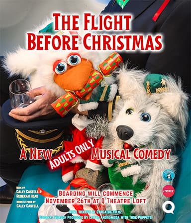 The Flight Before Christmas