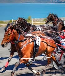 Kaikoura Trotting Club Weekend 2026