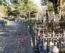 Logo for Napier Cemetery, Meet at the Gates