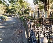 Logo for Napier Cemetery, Meet at the Gates