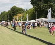 Logo for Auckland Polo Club
