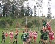 Logo for Martinborough Rugby Football Club