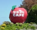 Logo for The Big Apple
