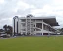 Logo for Ellerslie Racecourse