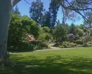 Logo for Rhododendron Lawn