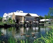 Logo for Millbrook Resort