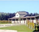 Logo for Turanga Creek Vineyard