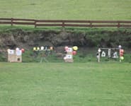 Logo for Hawke's Bay Sporting Shooters Club