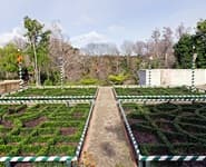 Logo for Tudor Garden