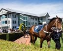 Logo for Riccarton Park Racecourse