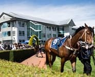 Logo for Riccarton Park Racecourse