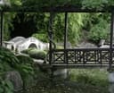 Logo for Chinese Scholar's Garden