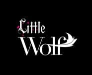 Logo for Wolf of Water St