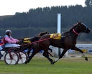 Logo for Oamaru Racecourse