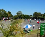 Logo for Herne Bay Petanque Club