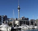 Logo for Viaduct Harbour Marina