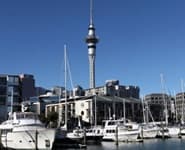 Logo for Viaduct Harbour Marina
