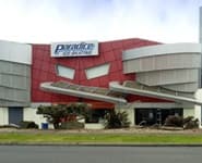 Logo for Paradice Ice Rink Botany