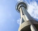 Logo for SKYCITY Sky Tower