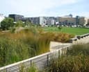 Logo for Waitangi Park