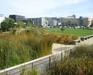 Logo for Waitangi Park
