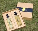 Logo for Koakoa Limoncello