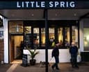 Logo for Little Sprig