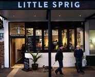Logo for Little Sprig