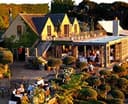 Logo for Mudbrick Vineyard and Restaurant